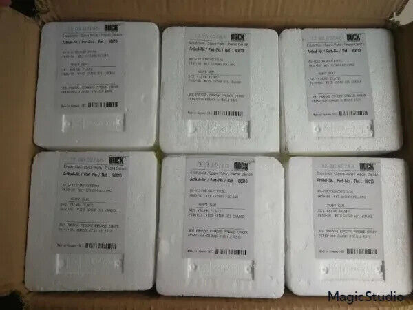 OEM Bock 80010 FK40 BUS Auto Compressor Shaft Seal Set Valve Plate Set - Image 5